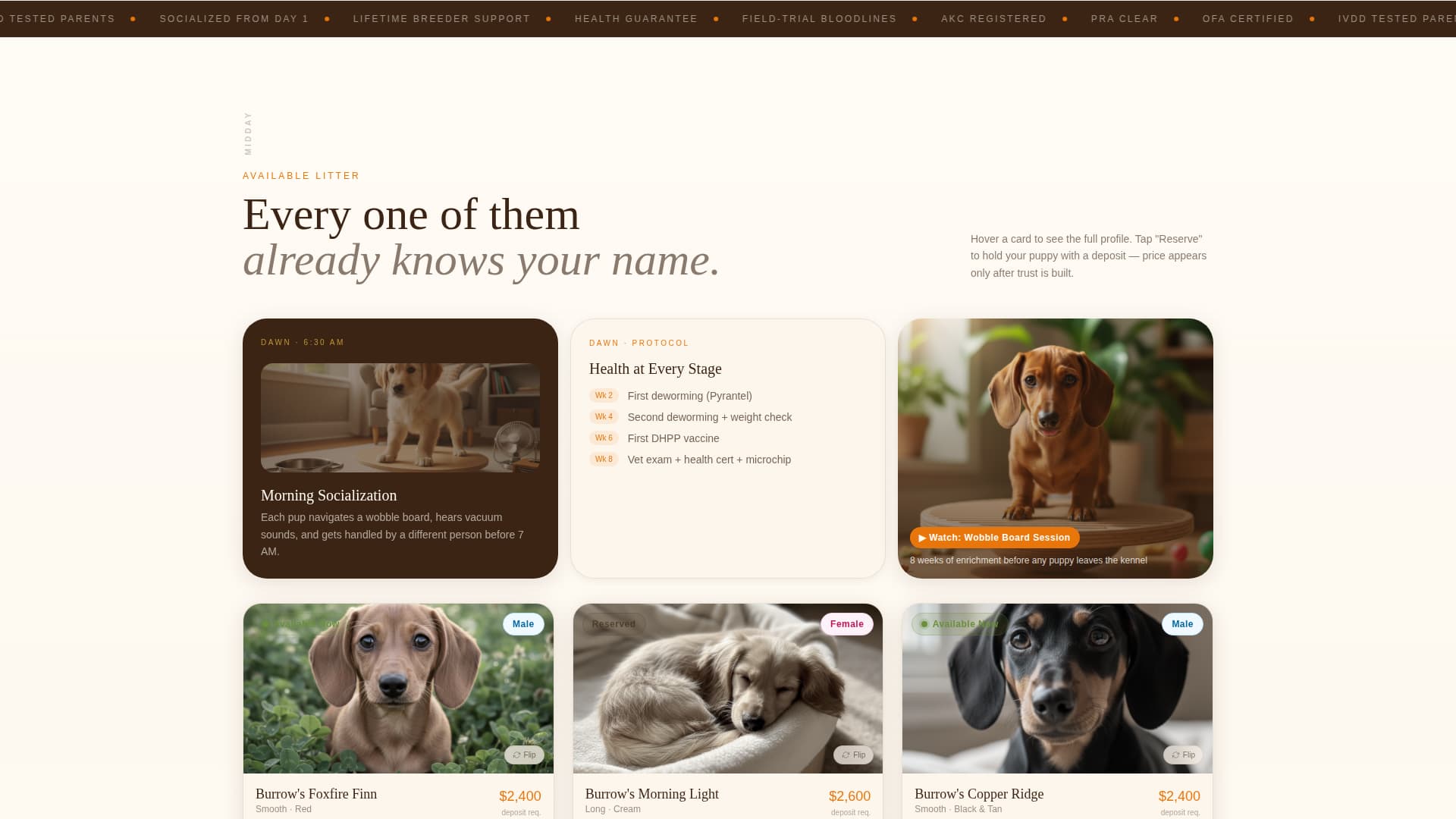 Canter - Vibrant Equine Landing Page Template