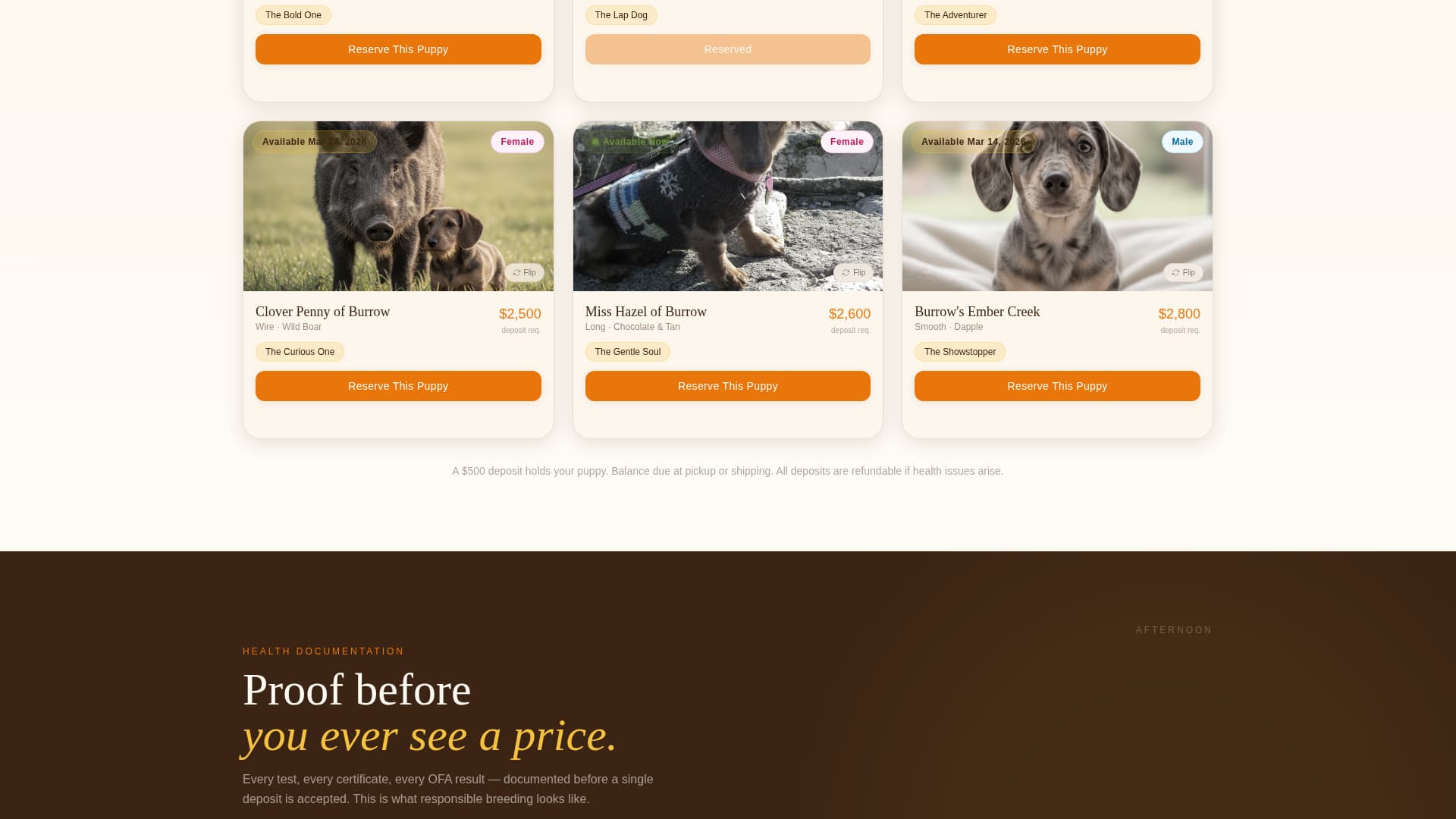 Canter - Vibrant Equine Landing Page Template