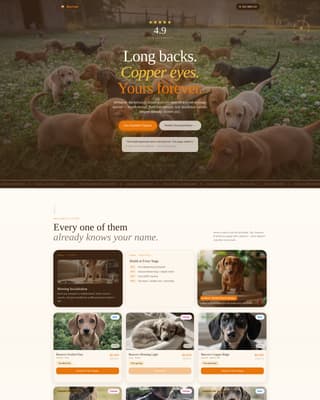 Canter - Vibrant Equine Landing Page Template