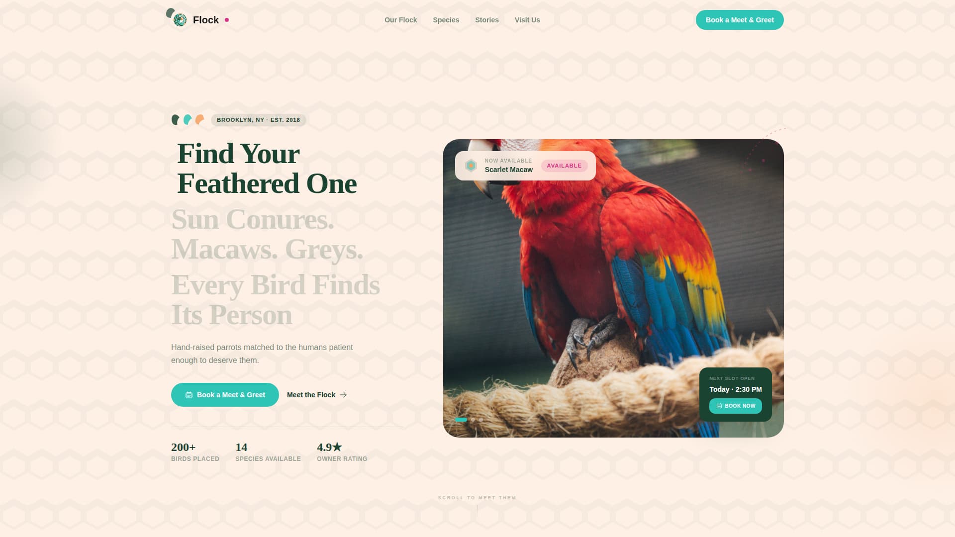 Flock - Vibrant Parrot Landing Page Template