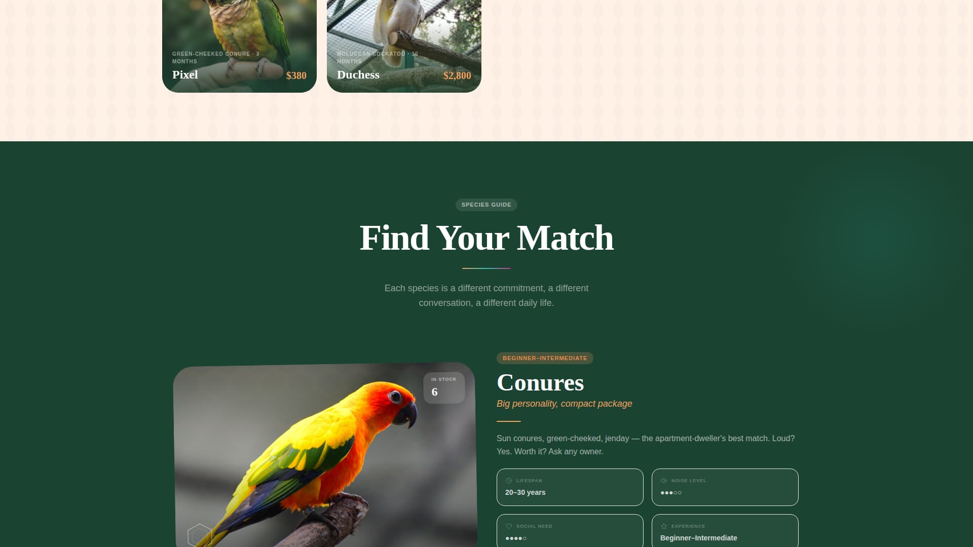 Flock - Vibrant Parrot Landing Page Template