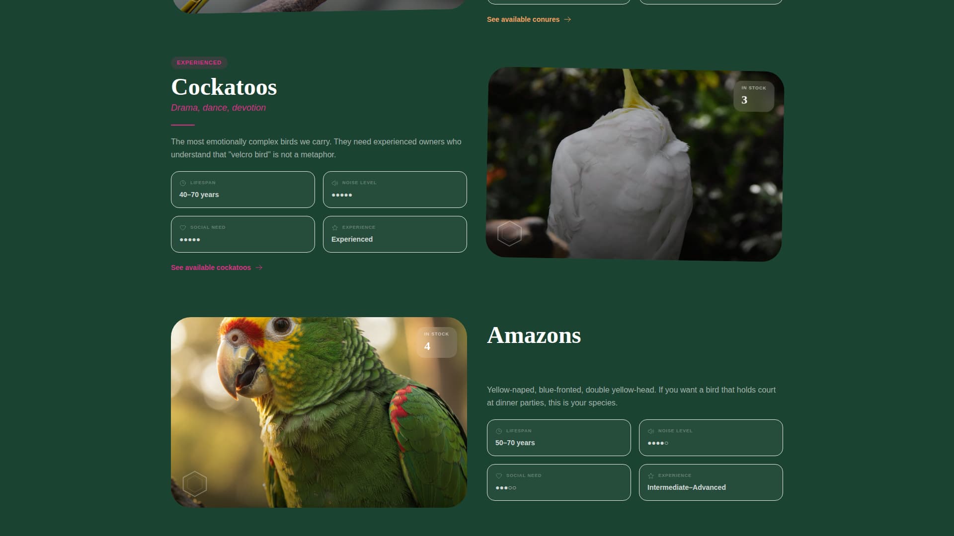 Flock - Vibrant Parrot Landing Page Template