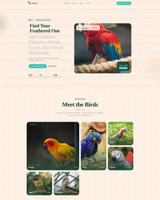Flock - Vibrant Parrot Landing Page Template