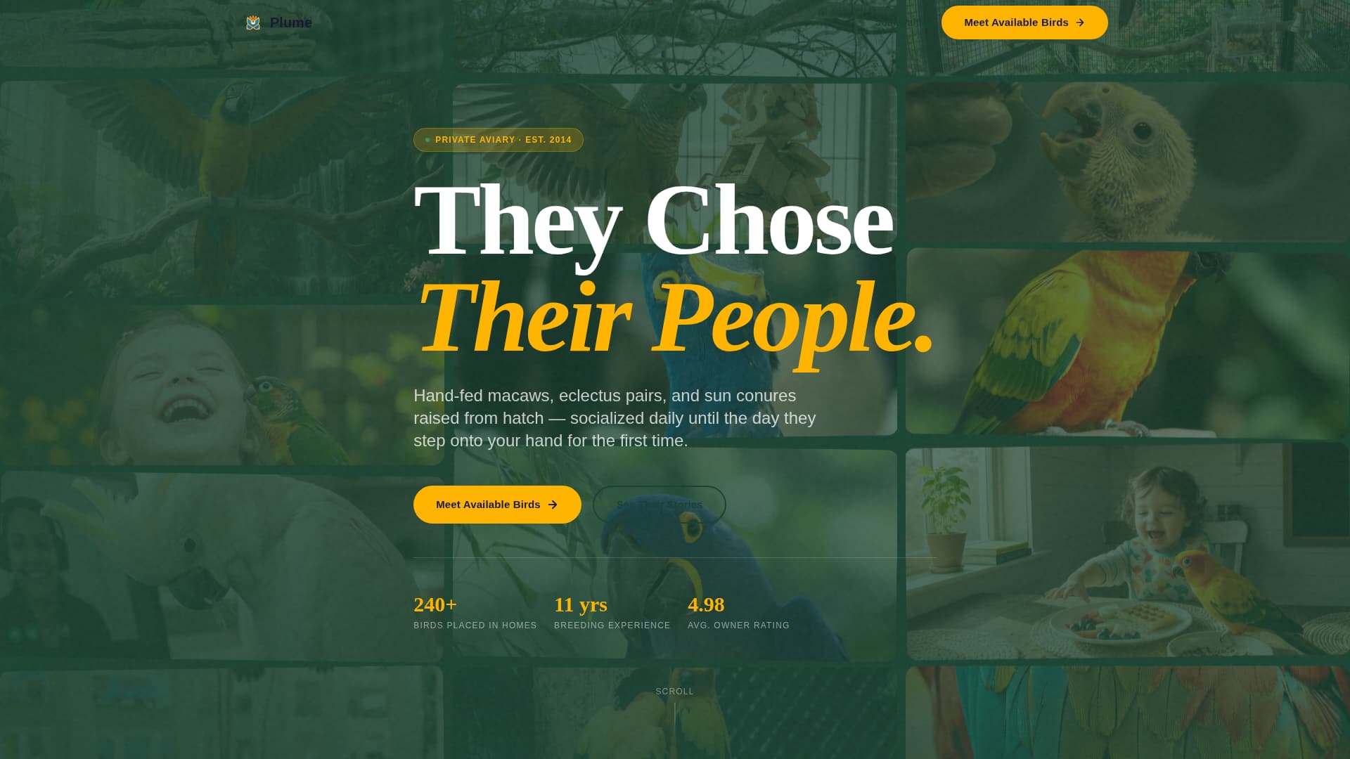 Plume - Vibrant Aviary Landing Page Template