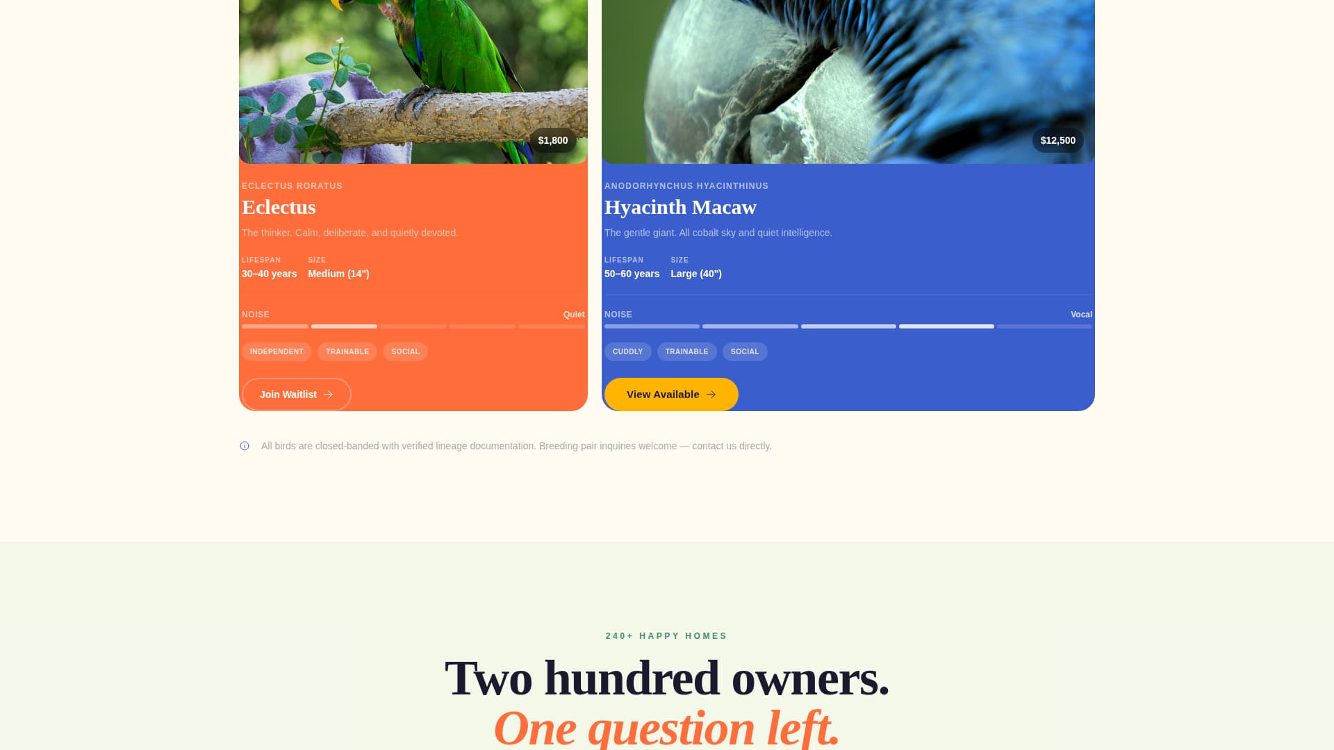 Plume - Vibrant Aviary Landing Page Template