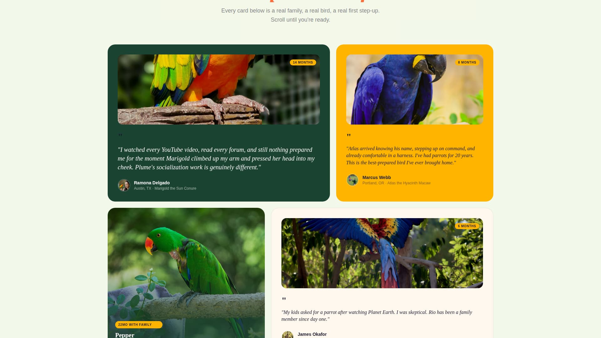 Plume - Vibrant Aviary Landing Page Template