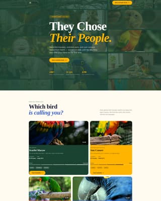 Plume - Vibrant Aviary Landing Page Template