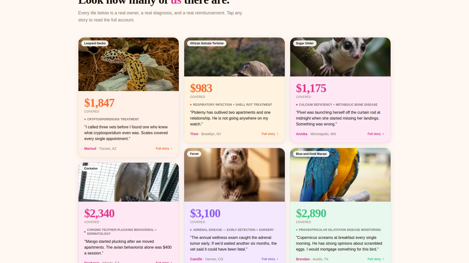 Scales - Vibrant Exoticpet Landing Page Template
