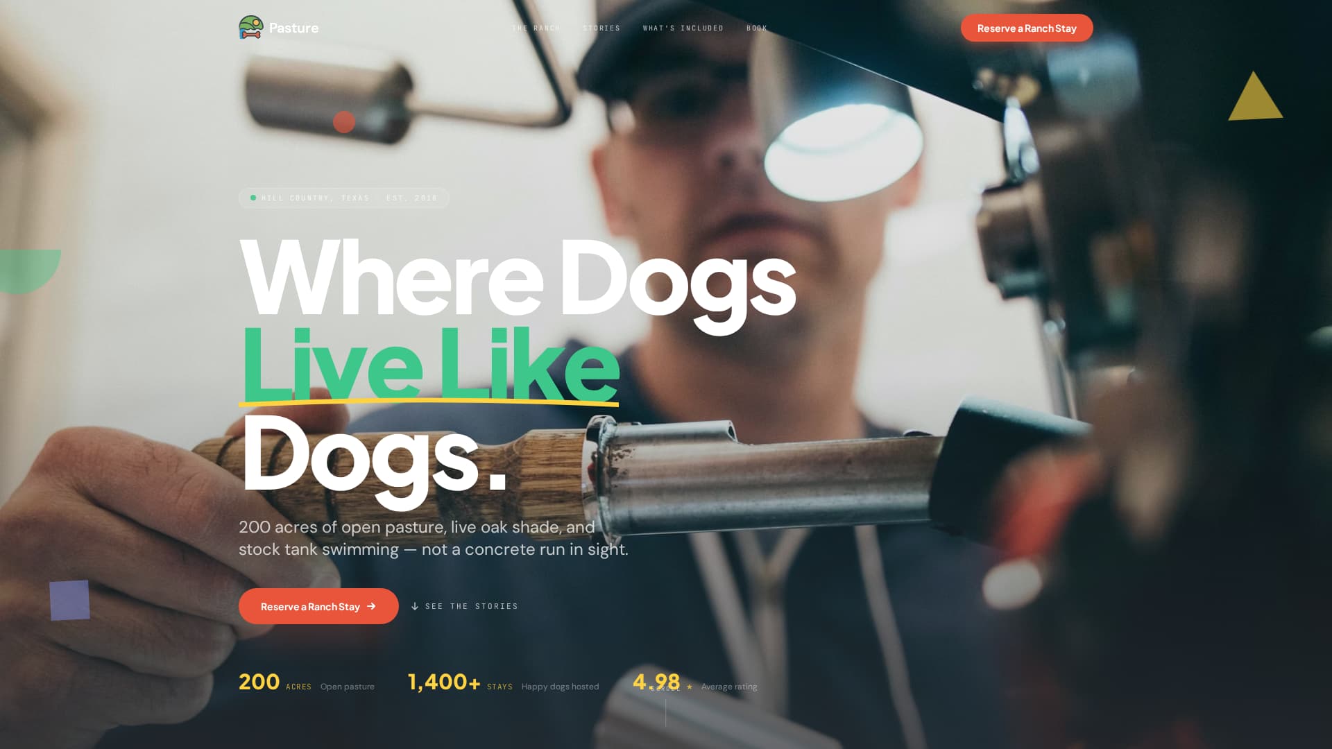 Pet Boarding & Daycare Specialist Booking Website Template