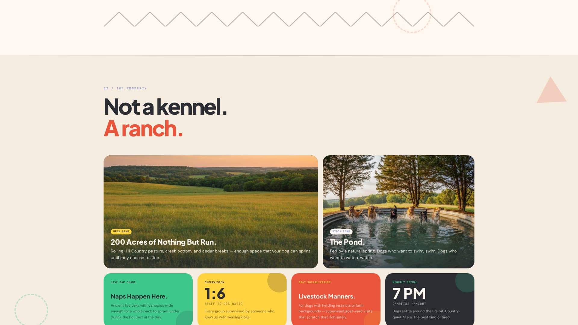 Pet Boarding & Daycare Specialist Booking Website Template