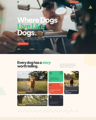 Pet Boarding & Daycare Specialist Booking Website Template