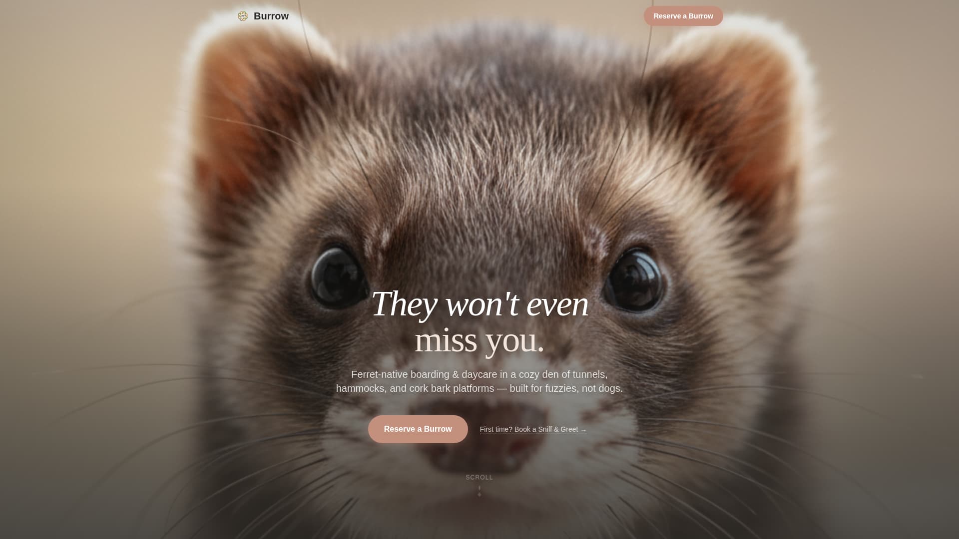 Burrow - Cozy Ferretboarding Landing Page Template