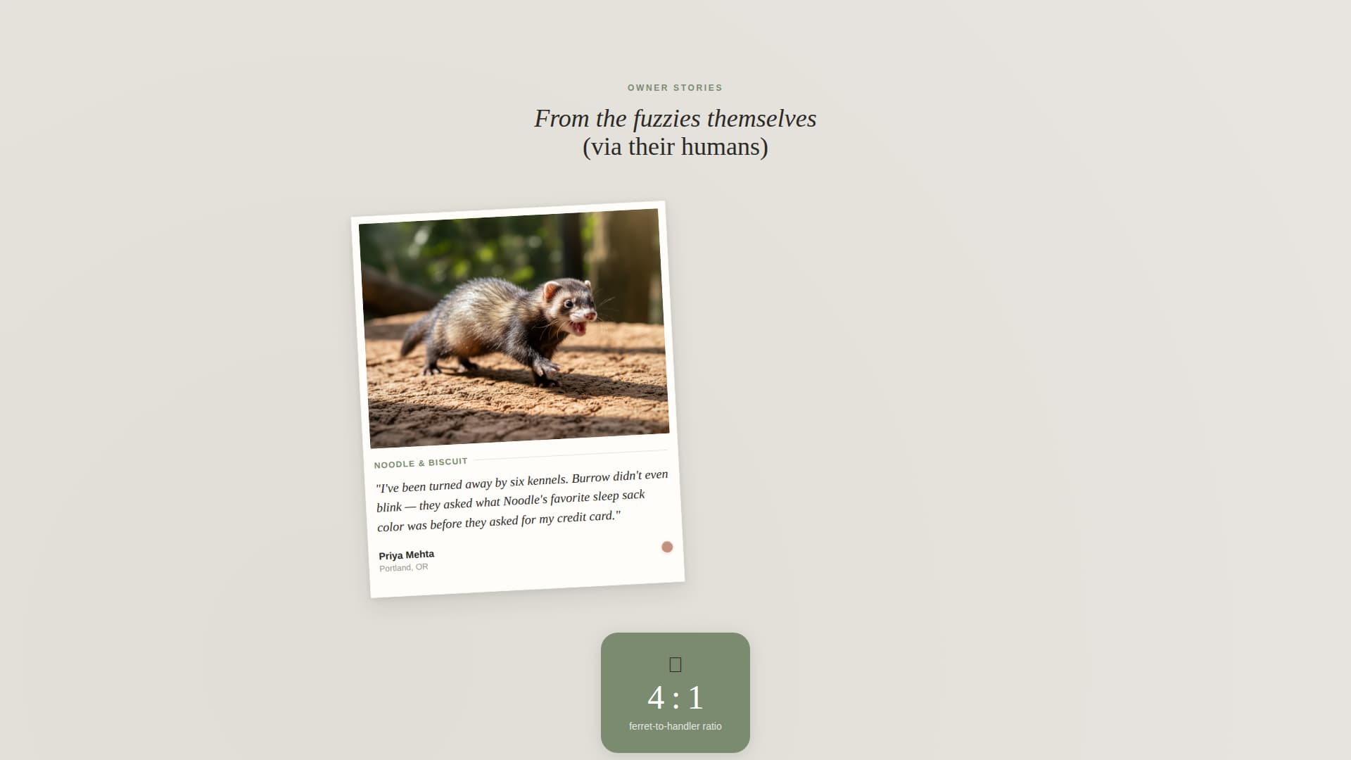 Burrow - Cozy Ferretboarding Landing Page Template