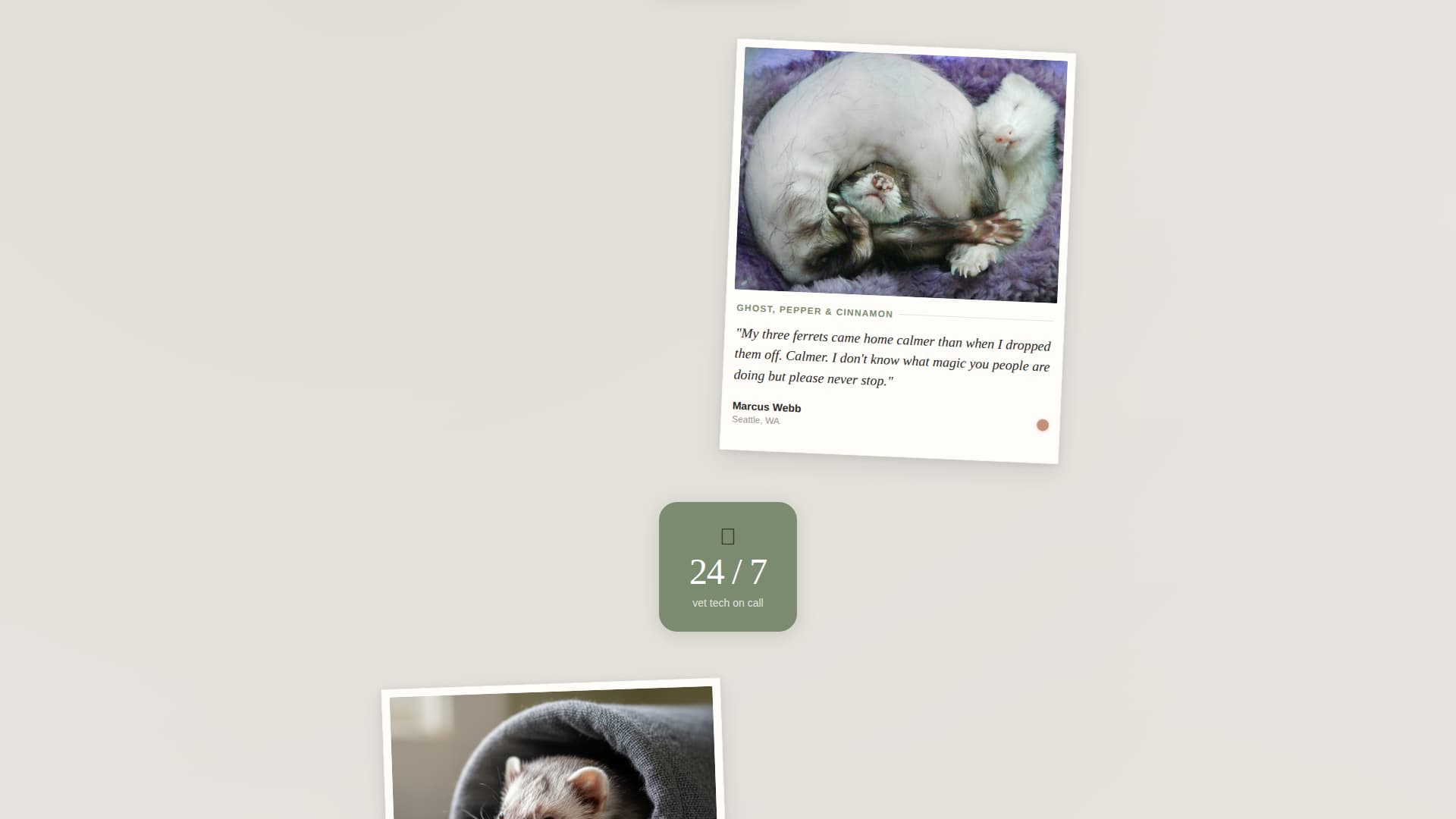 Burrow - Cozy Ferretboarding Landing Page Template