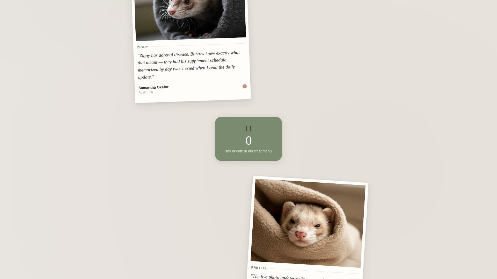 Burrow - Cozy Ferretboarding Landing Page Template