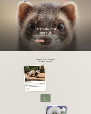 Burrow - Cozy Ferretboarding Landing Page Template