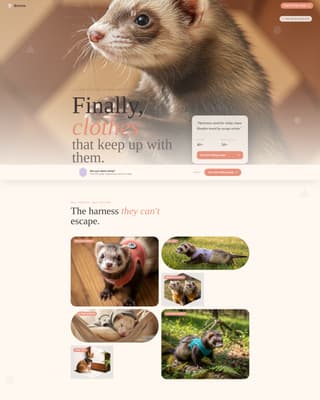 Burrow - Playful Ferret Landing Page Template