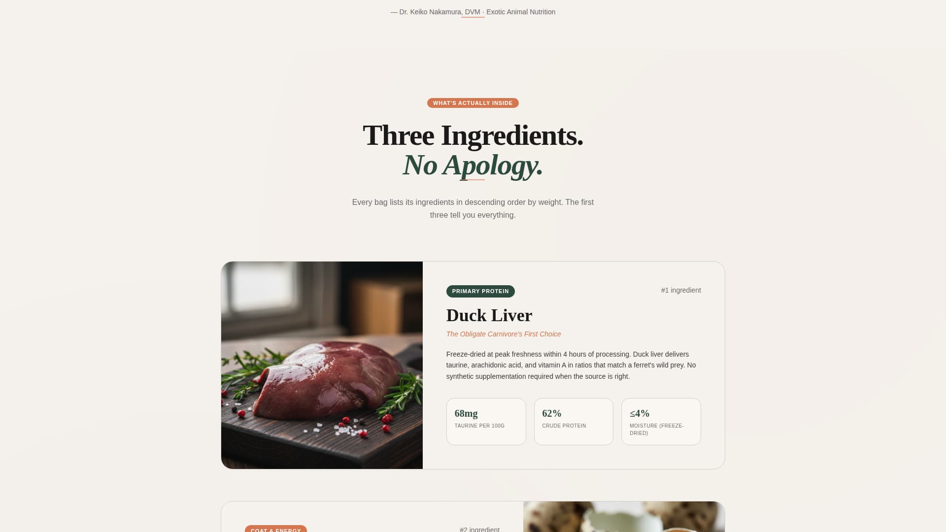 Ferret - Premium Food Landing Page Template