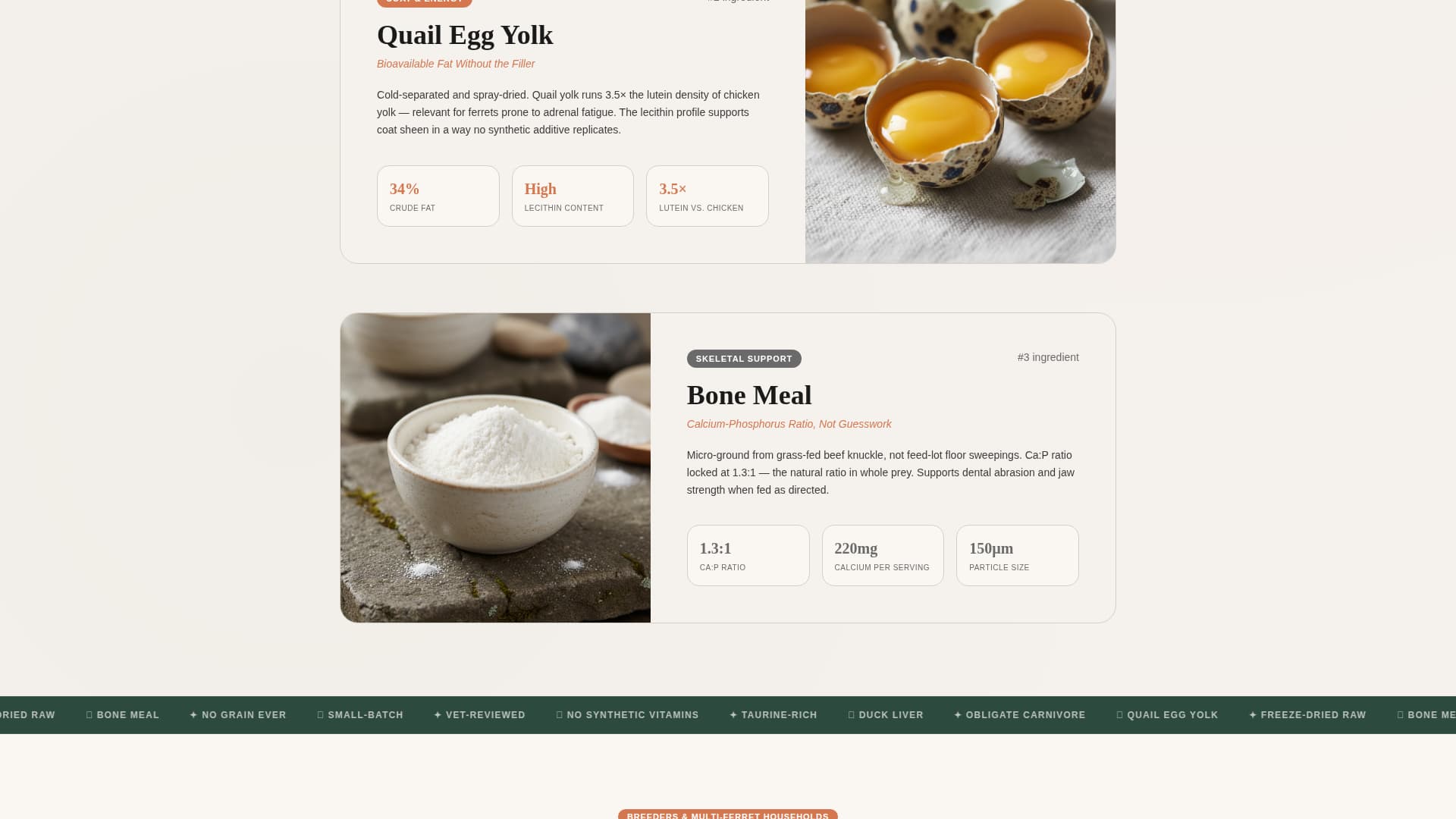 Ferret - Premium Food Landing Page Template