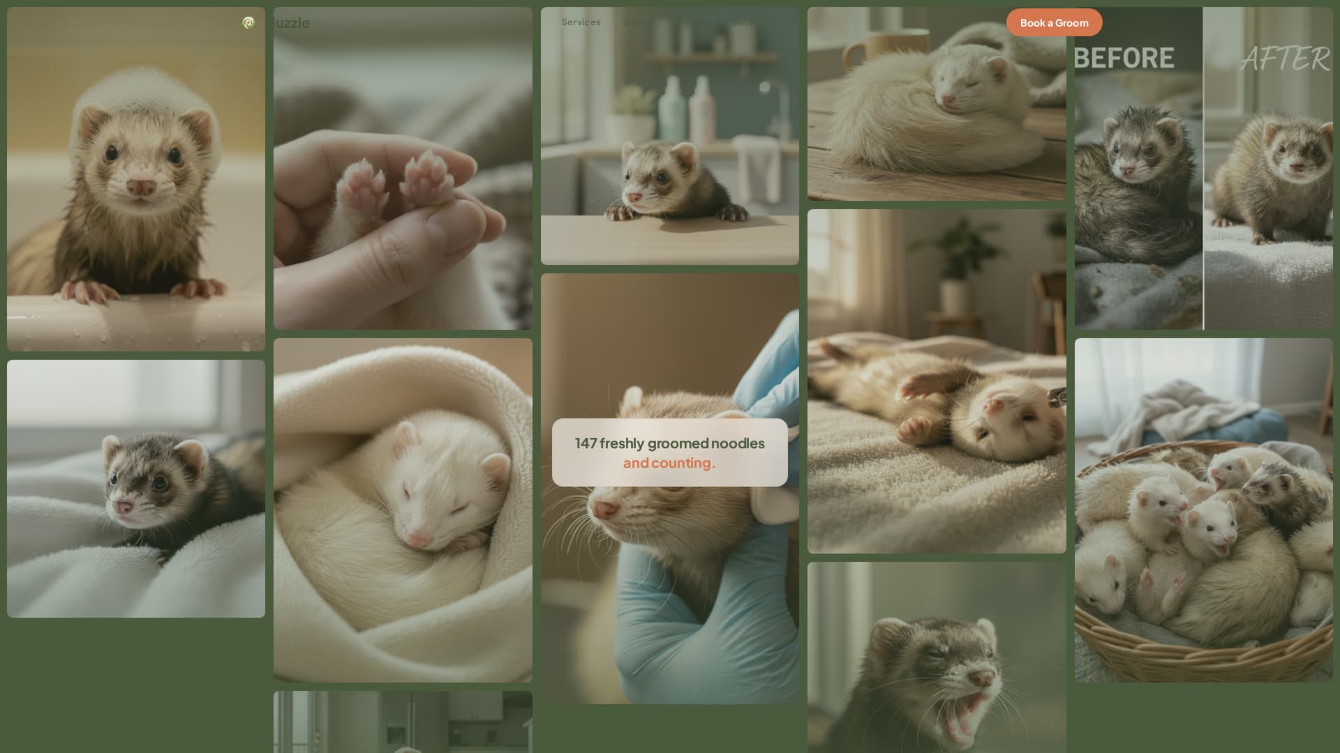 Nuzzle - Cozy Ferretgrooming Landing Page Template
