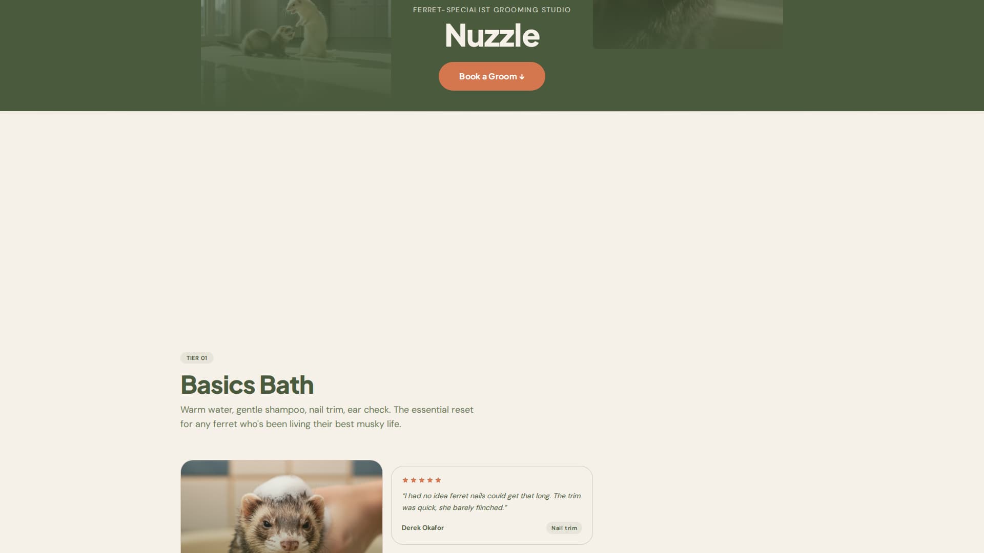 Nuzzle - Cozy Ferretgrooming Landing Page Template