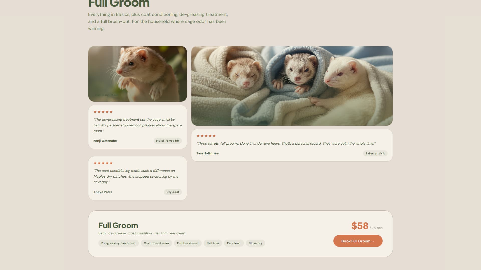 Nuzzle - Cozy Ferretgrooming Landing Page Template