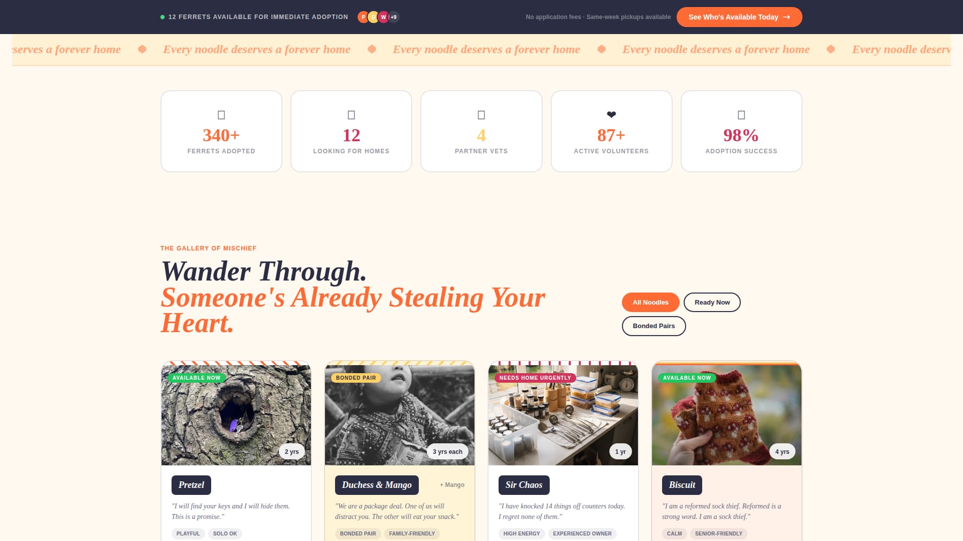 Ferret - Playful Rescue Landing Page Template