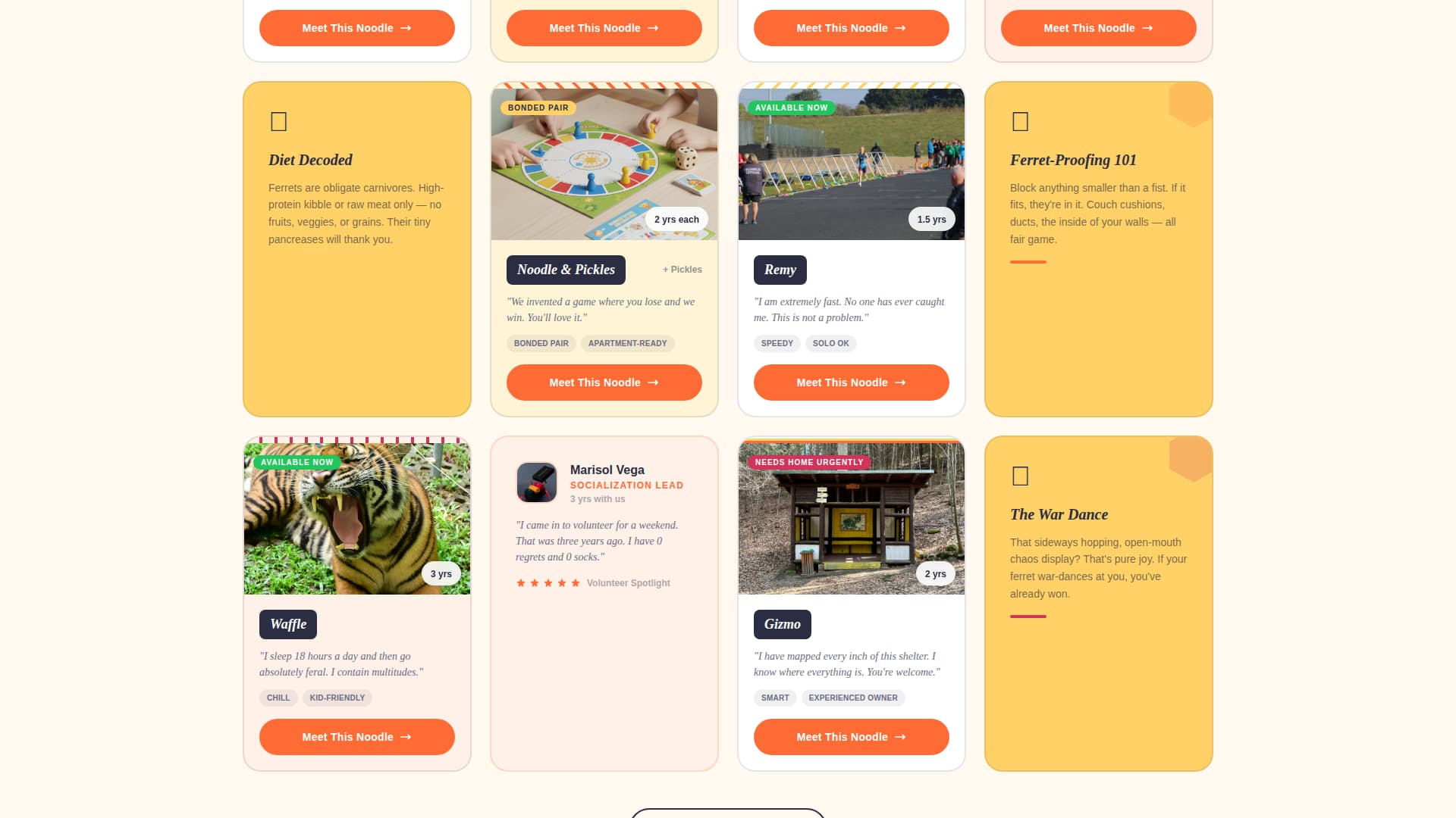 Ferret - Playful Rescue Landing Page Template