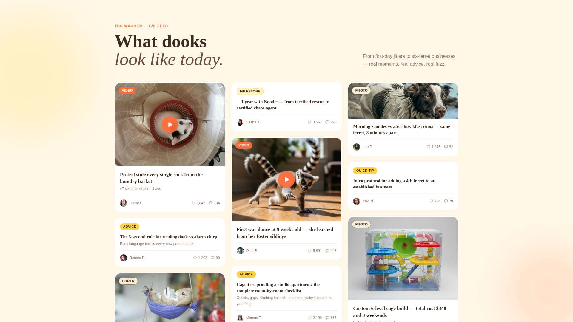 Dook - Vibrant Ferretcommunity Landing Page Template