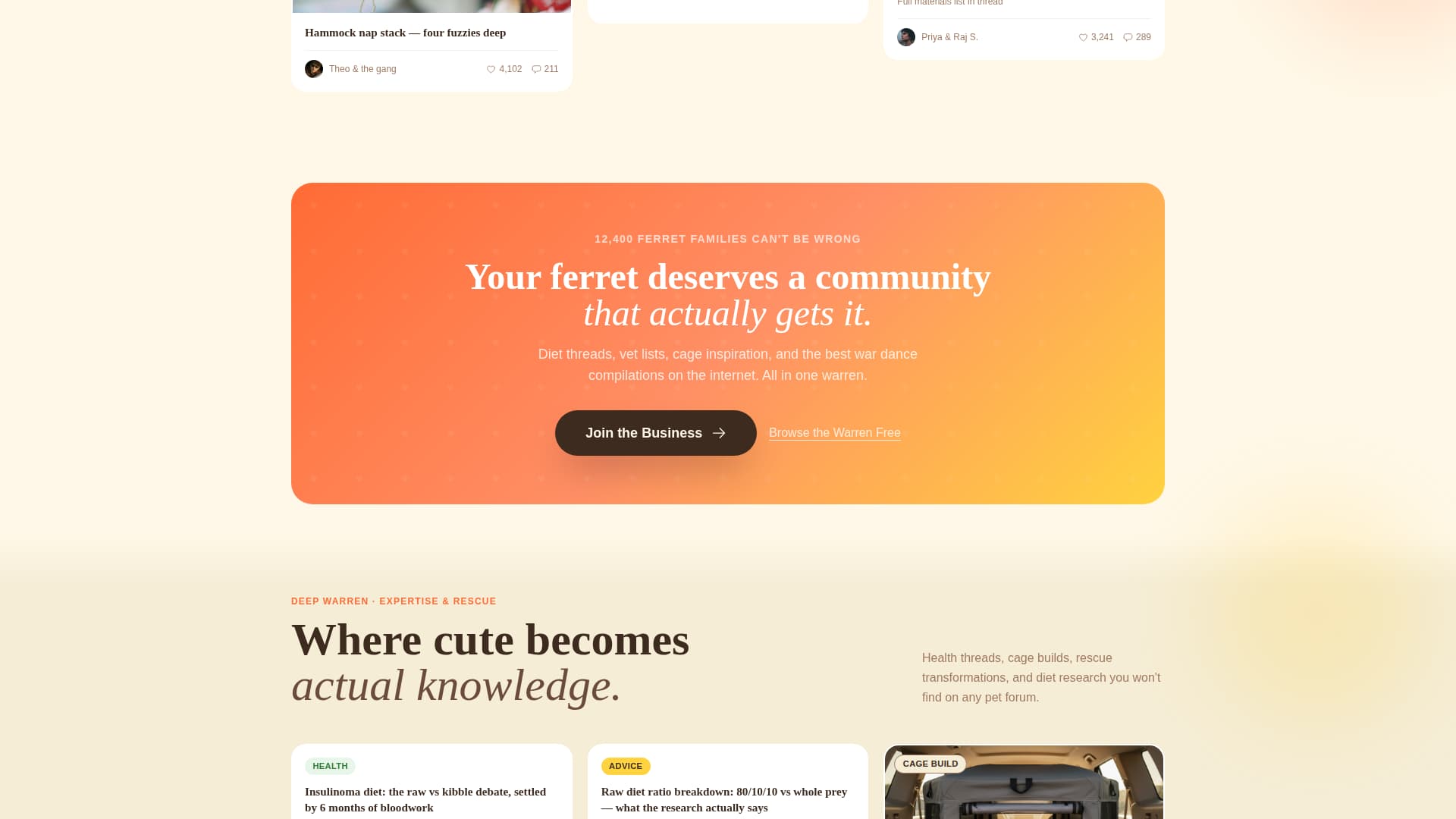 Dook - Vibrant Ferretcommunity Landing Page Template