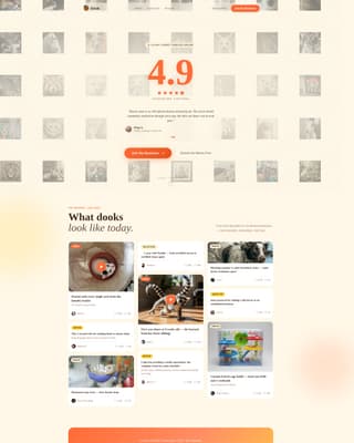 Dook - Vibrant Ferretcommunity Landing Page Template
