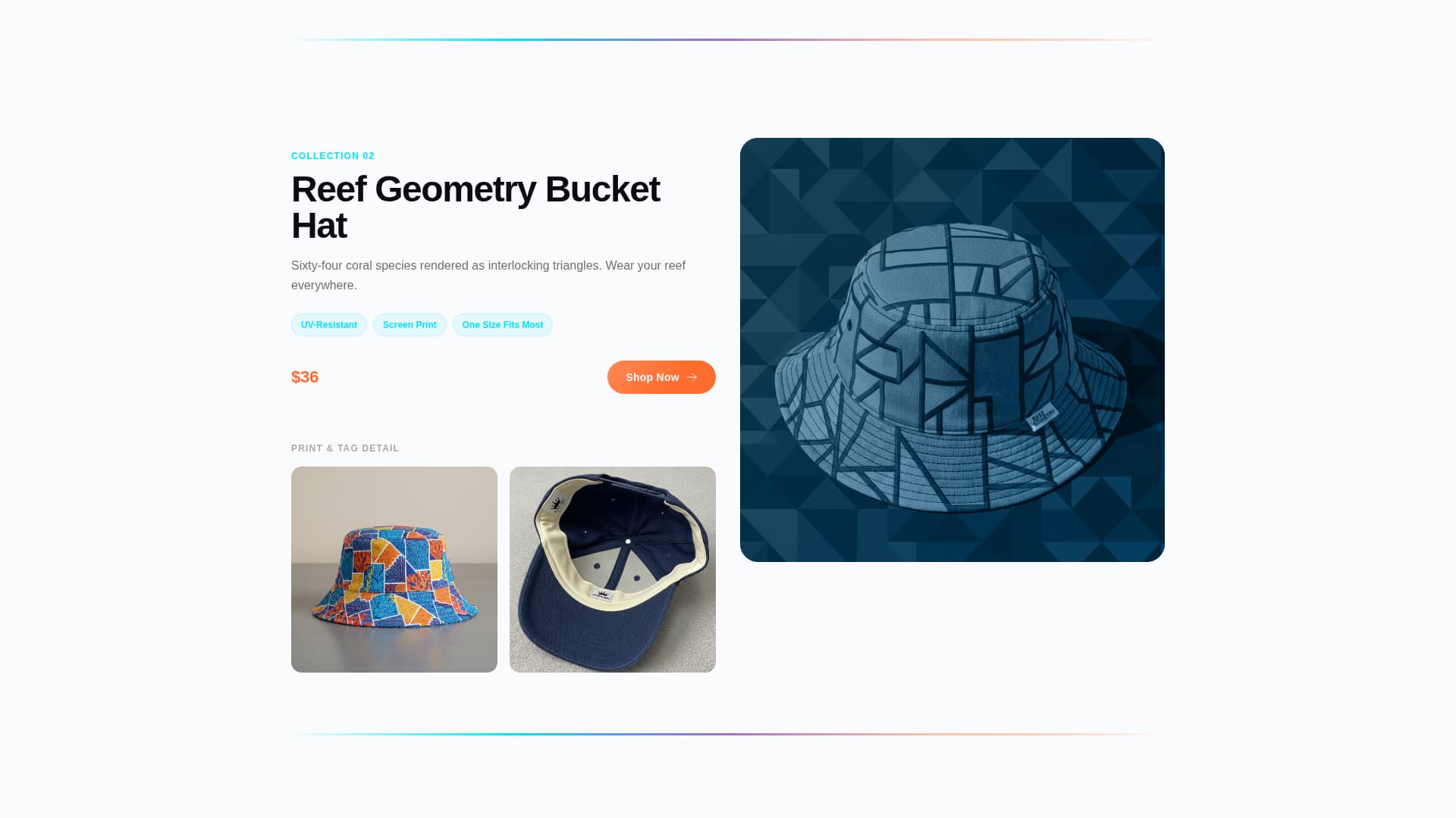 Fin - Vivid Aquarium Landing Page Template