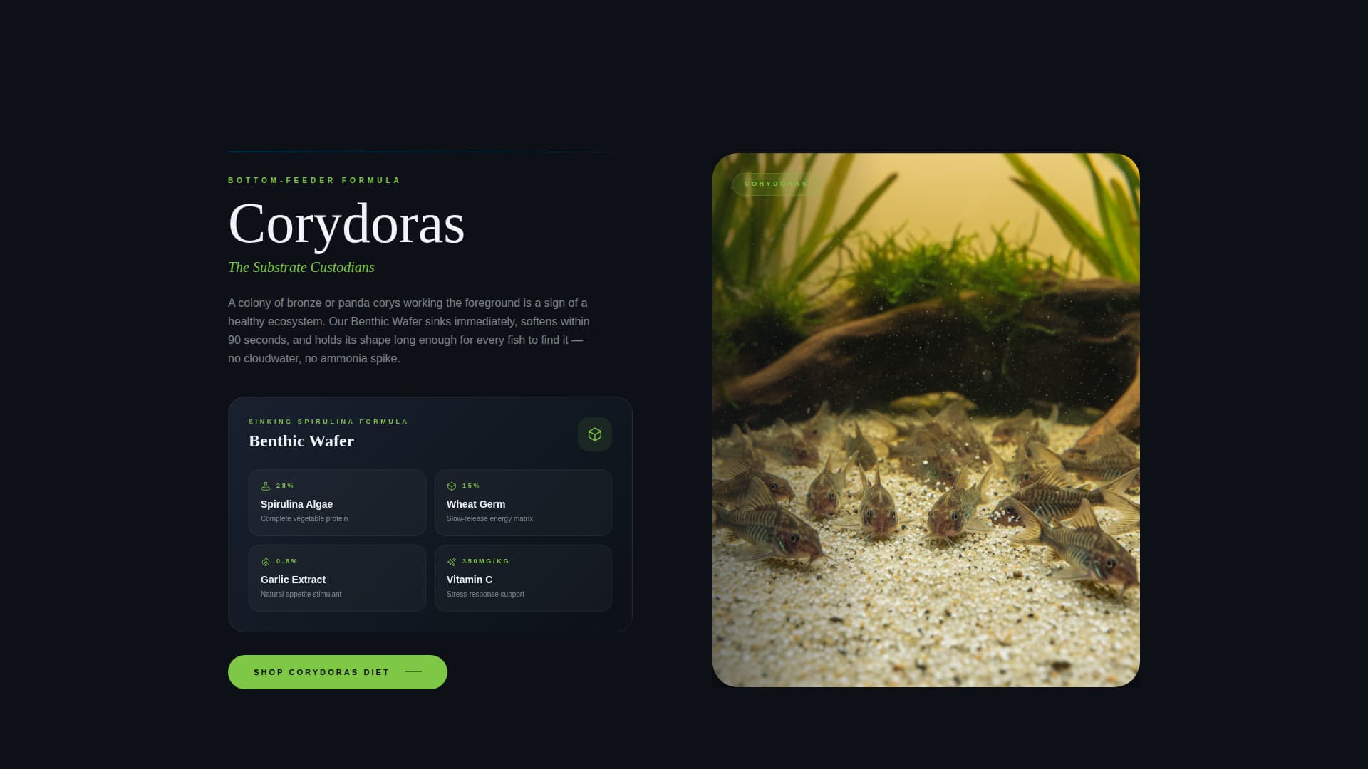 Pellet - Premium Aquarium Landing Page Template
