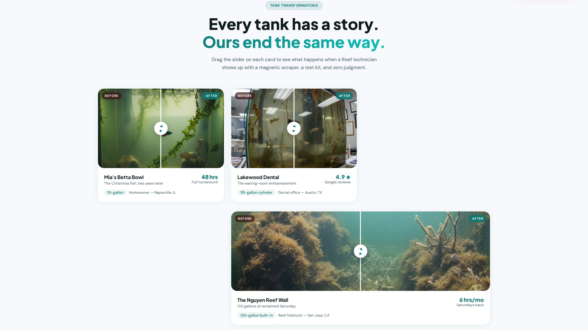 Reef - Transformative Aquarium Landing Page Template