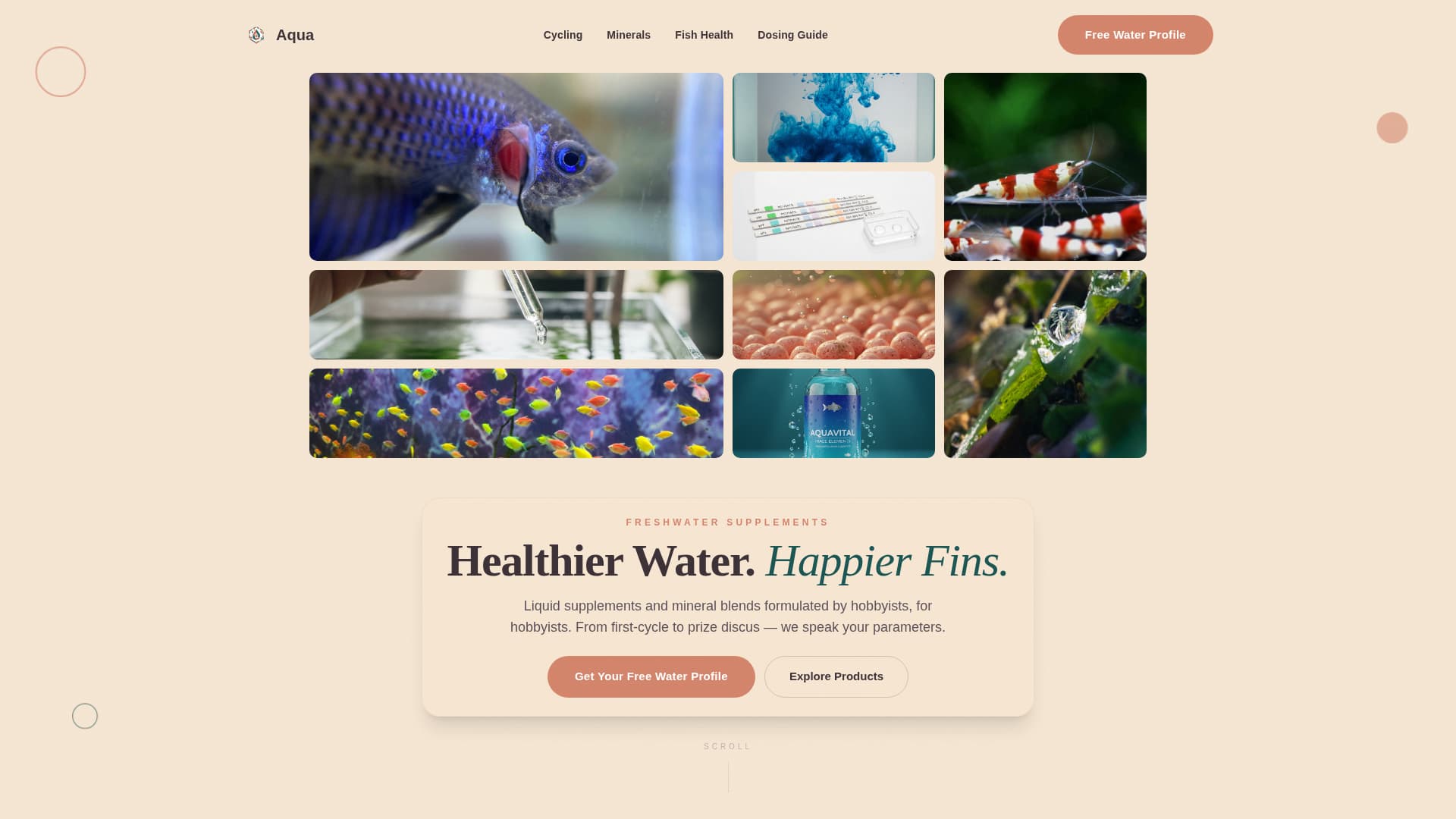Aqua - Thriving Aquarium Landing Page Template