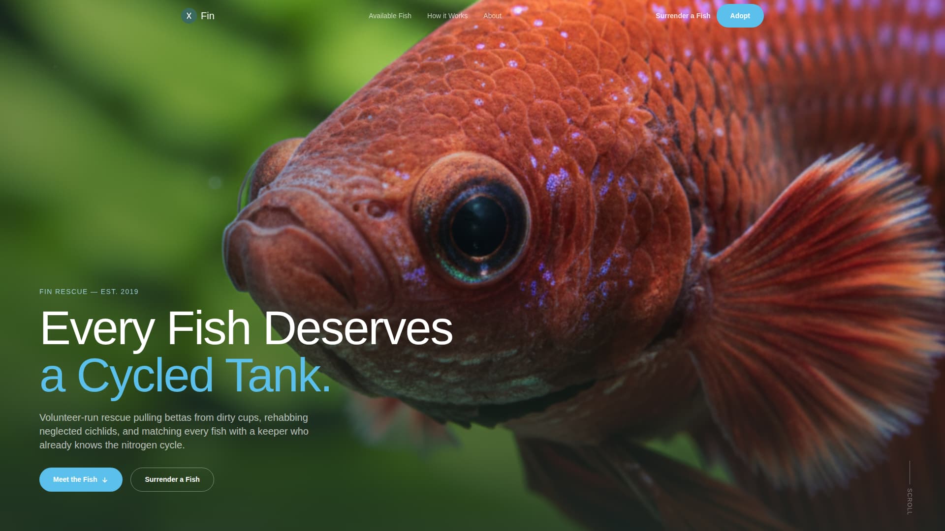 Fin - Heartfelt Aquarium Landing Page Template