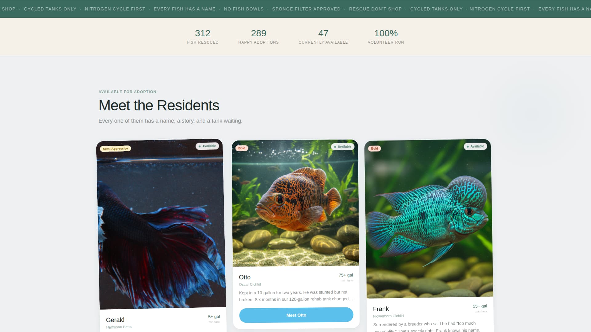 Fin - Heartfelt Aquarium Landing Page Template