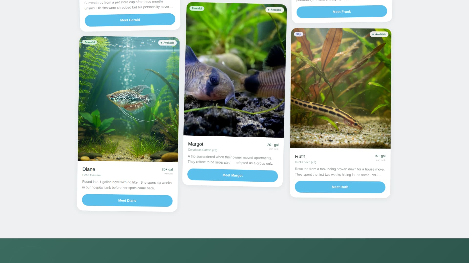 Fin - Heartfelt Aquarium Landing Page Template