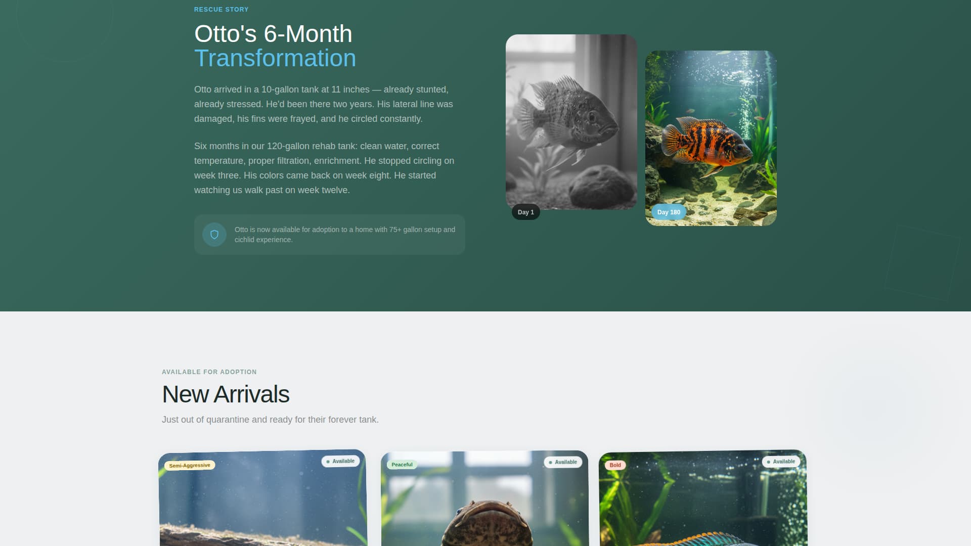 Fin - Heartfelt Aquarium Landing Page Template