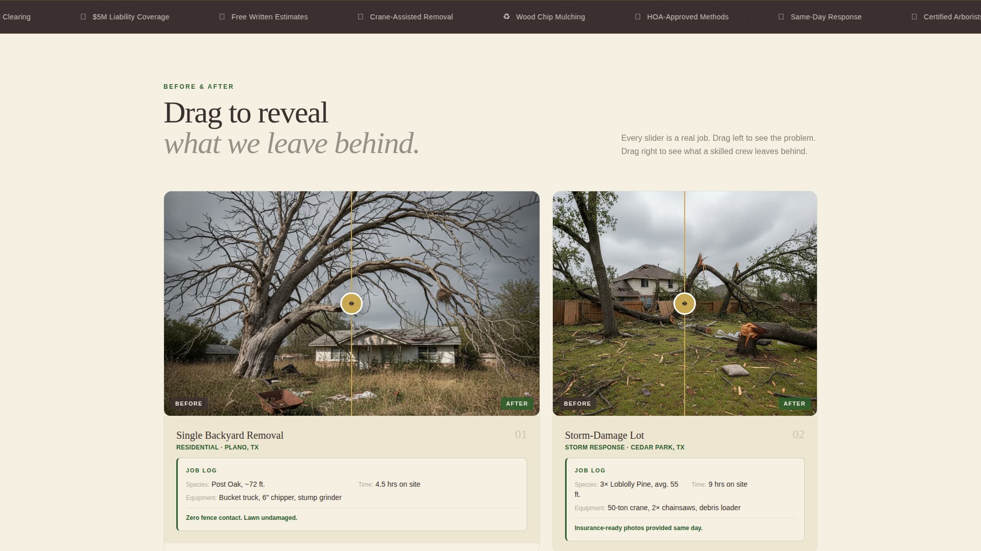 Felled - Trusted Tree Removal Landing Page Template