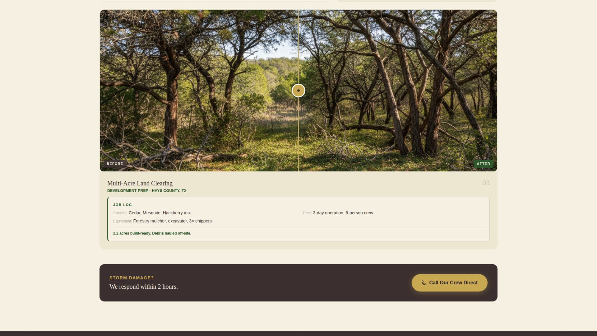 Felled - Trusted Tree Removal Landing Page Template