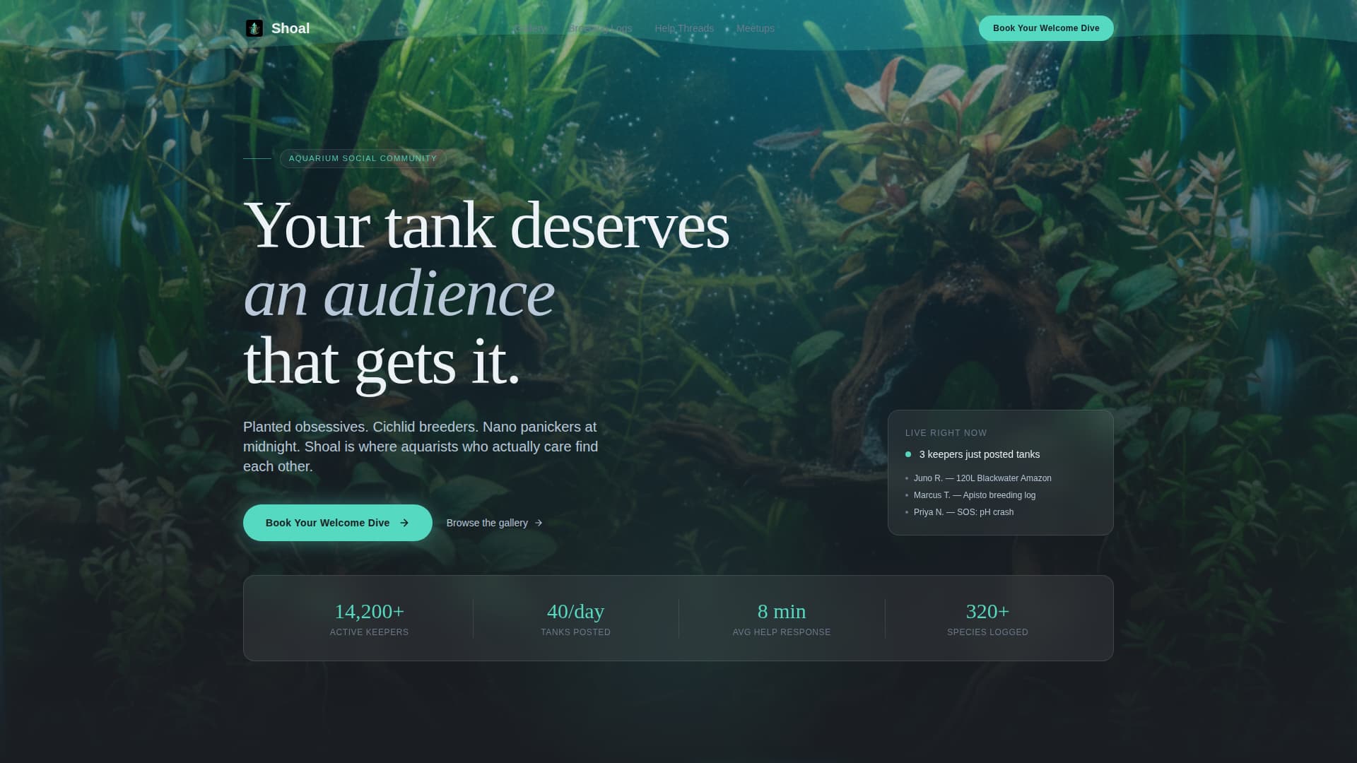 Shoal - Immersive Aquarium Landing Page Template