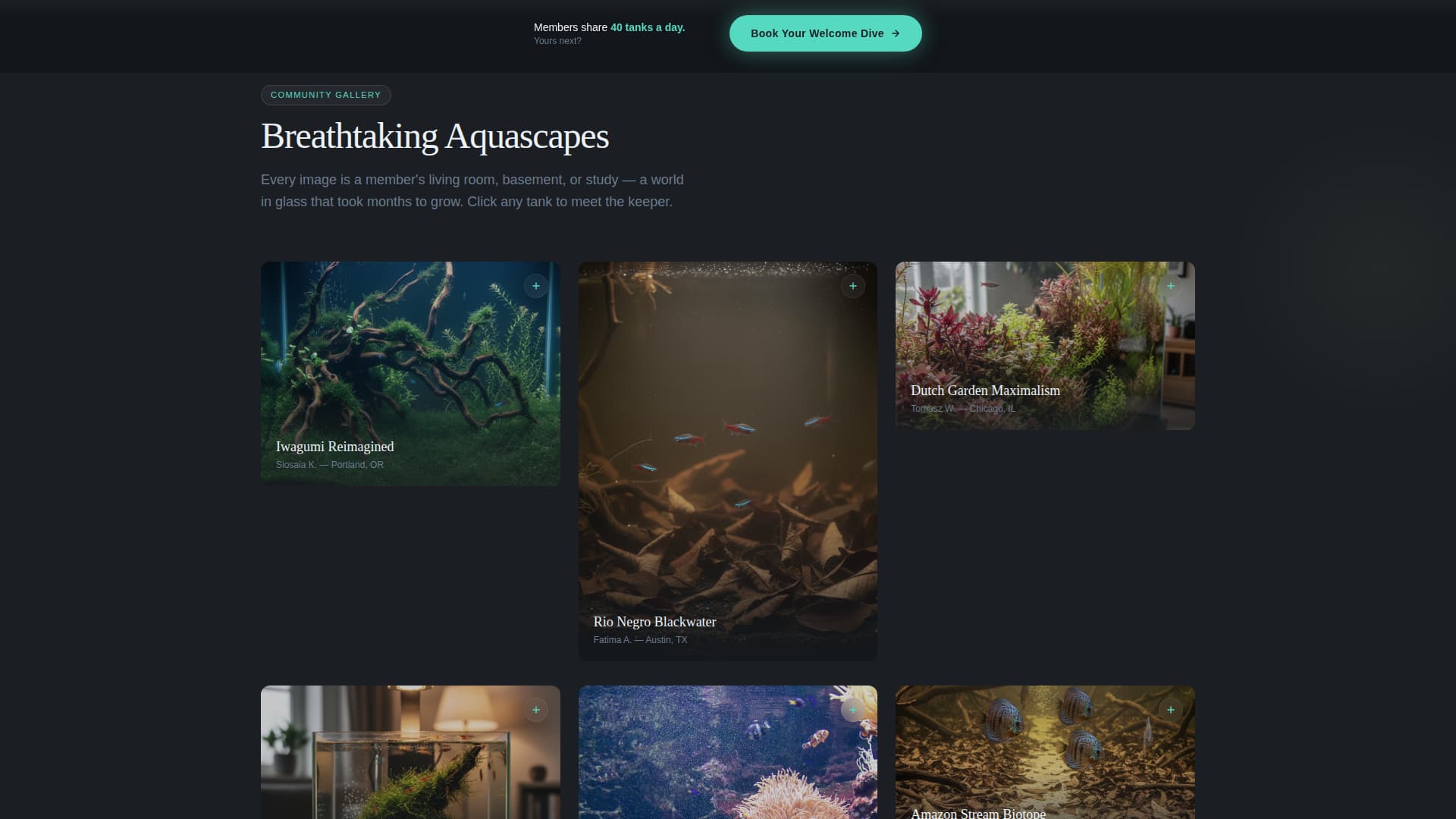 Shoal - Immersive Aquarium Landing Page Template