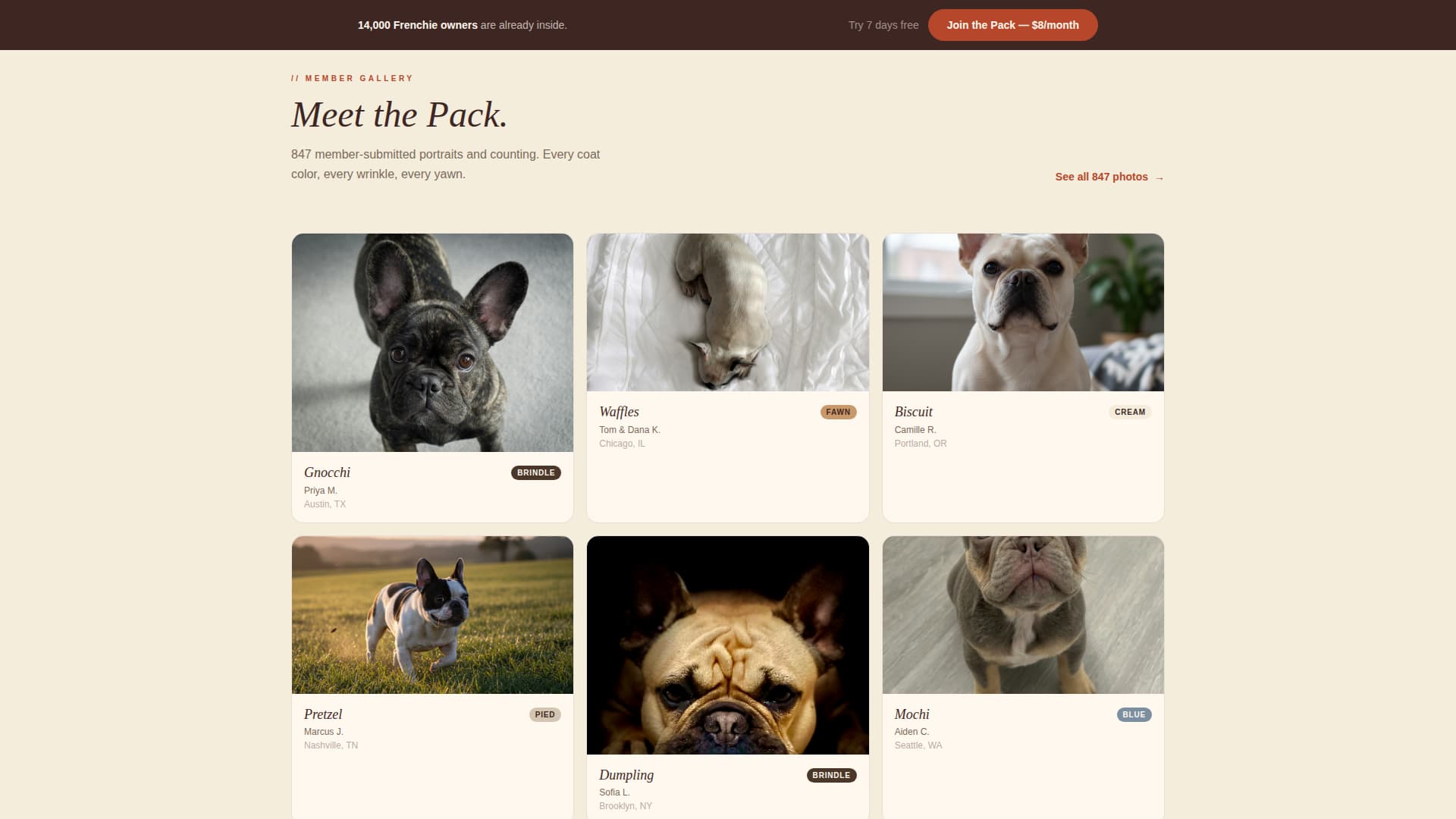 Frenchie - Warm Community Landing Page Template