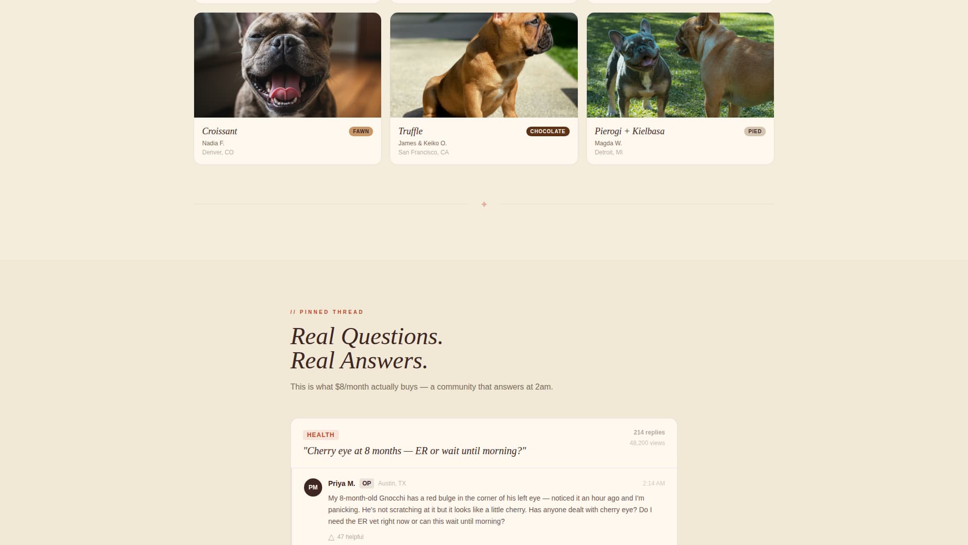 Frenchie - Warm Community Landing Page Template