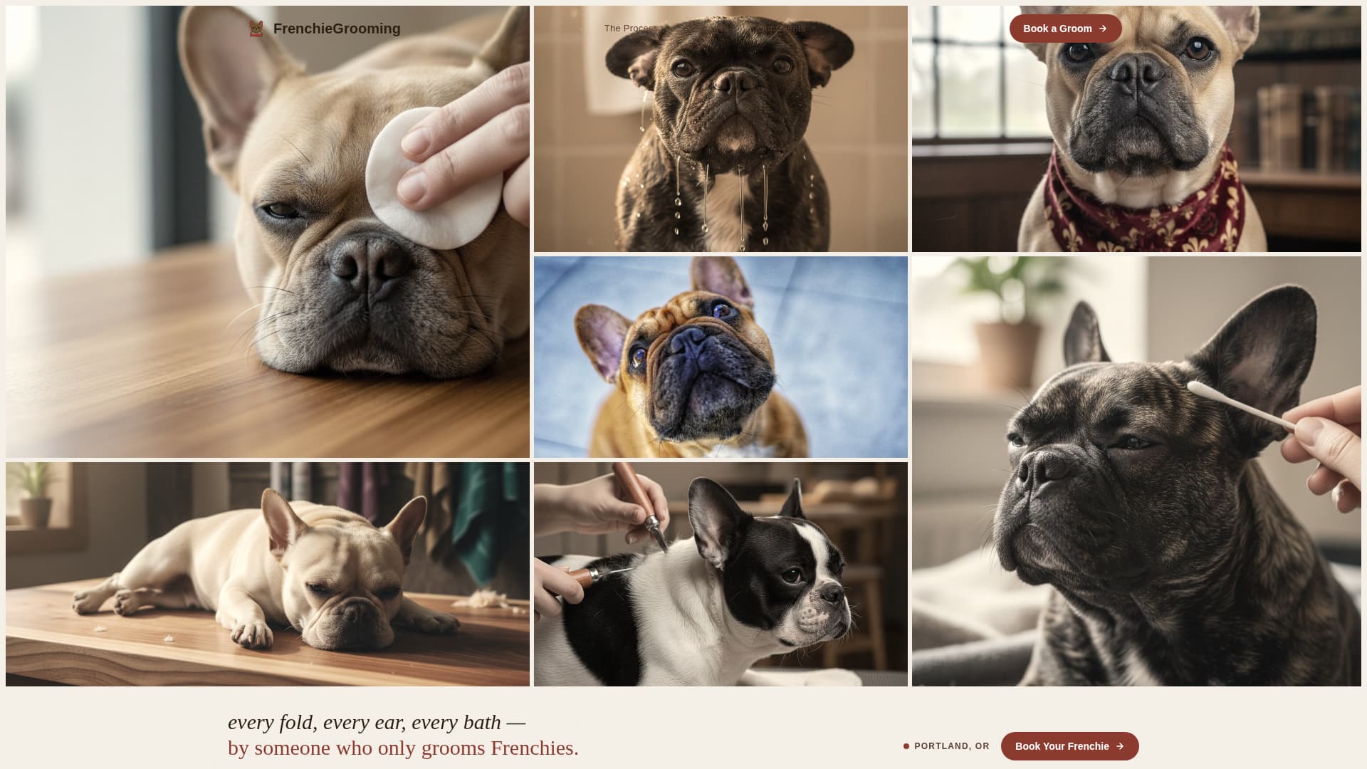 Frenchie - Artisan Grooming Landing Page Template