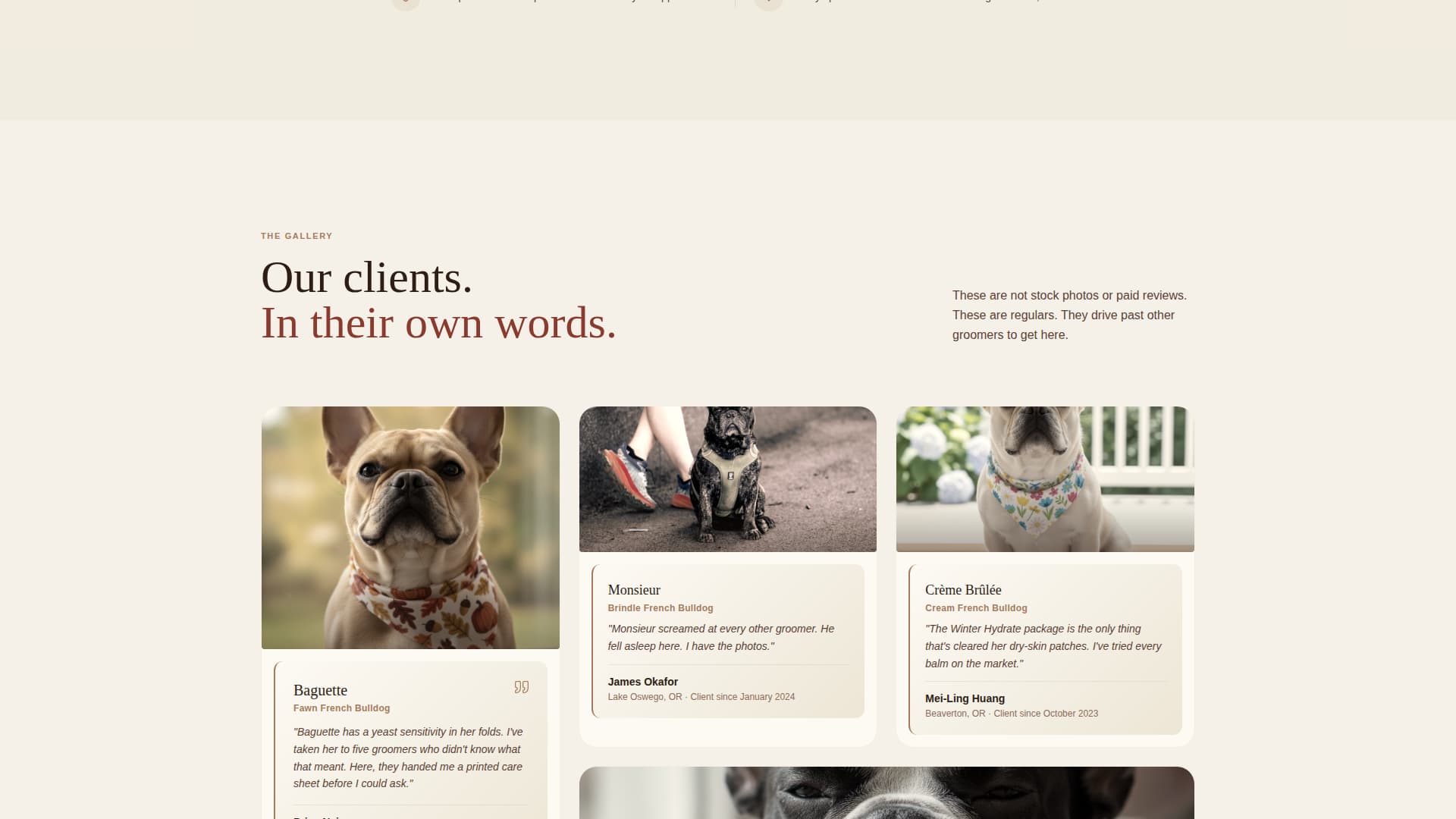 Frenchie - Artisan Grooming Landing Page Template