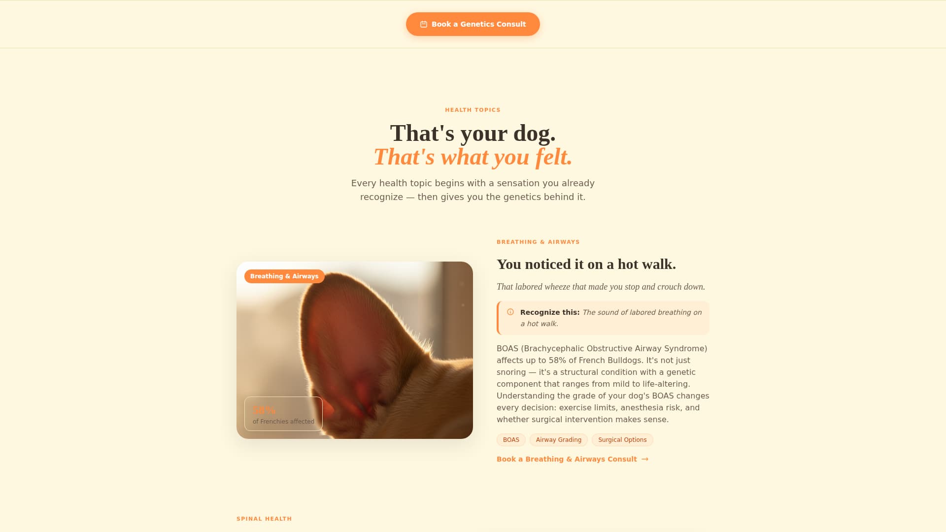 Frenchie - Trusted Genetics Landing Page Template