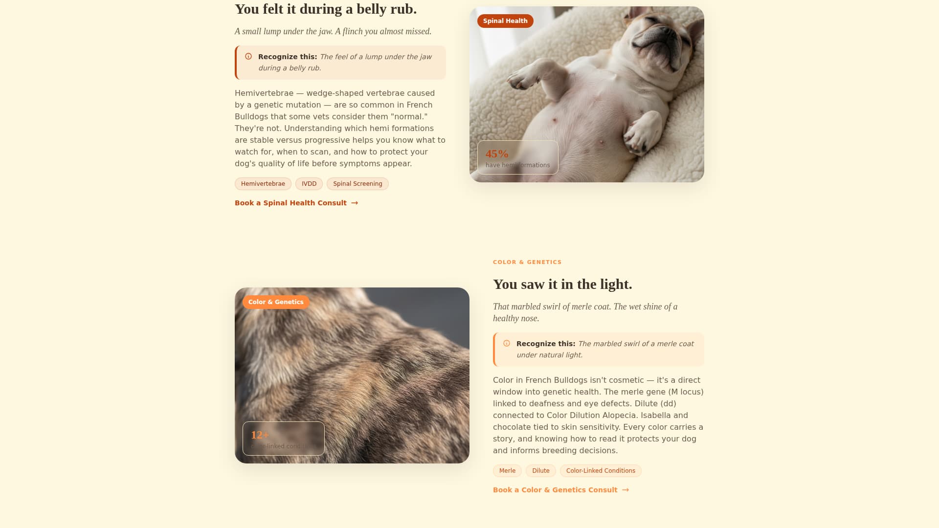 Frenchie - Trusted Genetics Landing Page Template