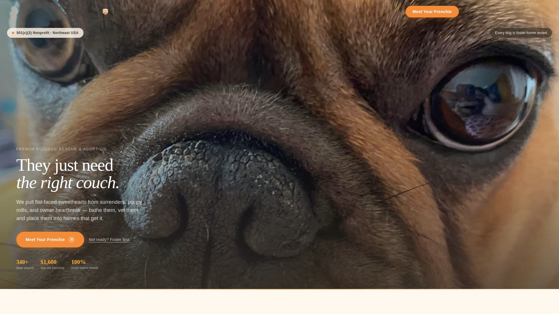 Snort - Heartwarming Rescue Landing Page Template